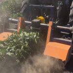 Междурядная фреза видео в работе